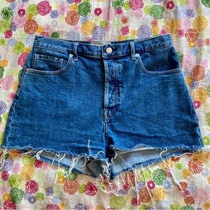 Everlane The Cheeky Denim Short Sz 29